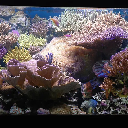 Szálloda Grillo Torre Annunziata